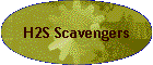 H2S Scavengers